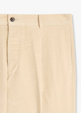 AANTIOCO VELVET TROUSERS WITH DARTS